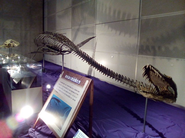 ギガ恐竜展 17 Boycraft Blog