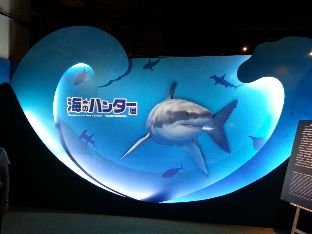 海のハンター展 感想 Boycraft Blog 海のハンター展 感想 Boycraft Blog