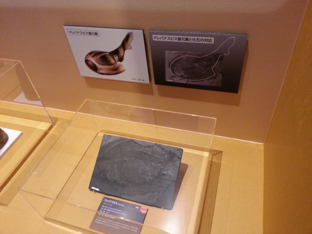 海のハンター展 感想 Boycraft Blog 海のハンター展 感想 Boycraft Blog