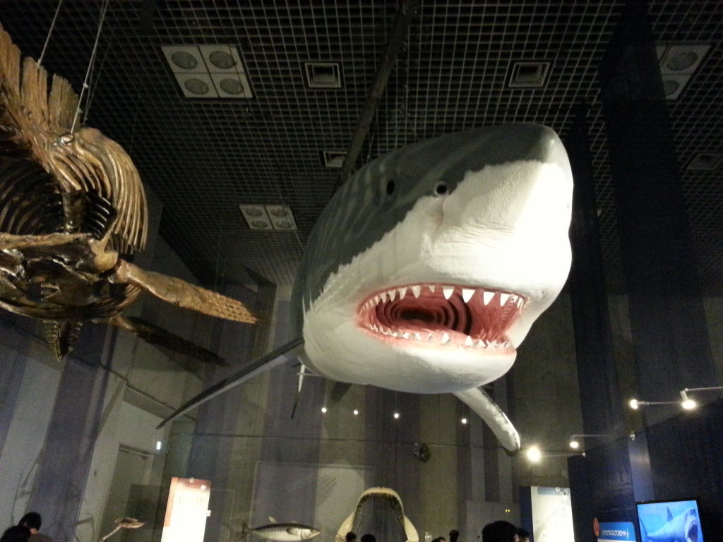 海のハンター展 感想 Boycraft Blog