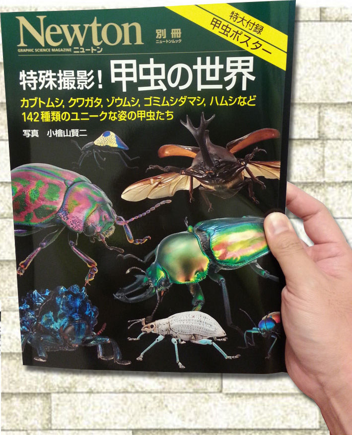 レア】ニュートンジュニアブックス全20巻 レア】ニュートンジュニア