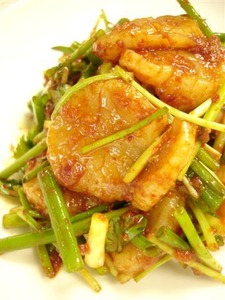 hotate_fe 005