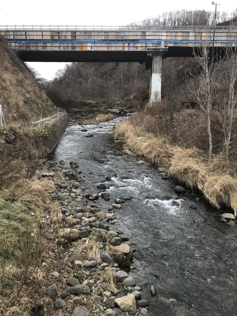サクラマス ゆうくんパパの北海道を釣る