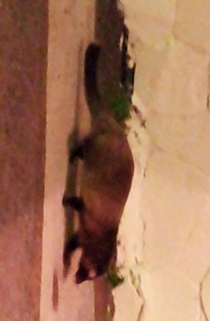 44ca8312.jpg