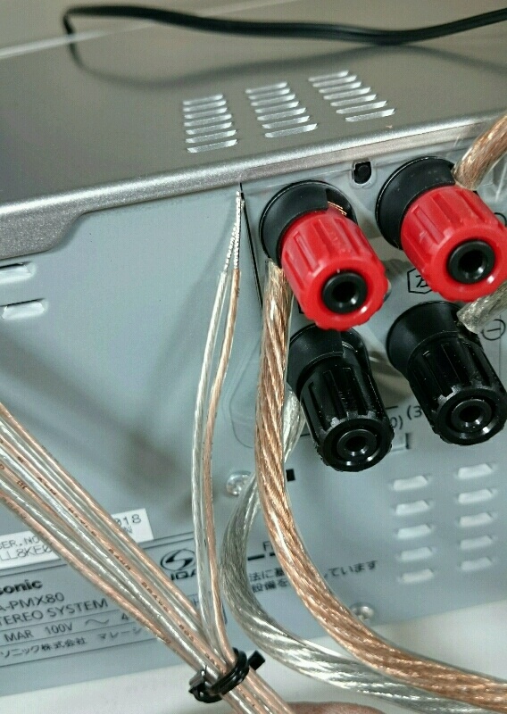 ec7851f1.jpg