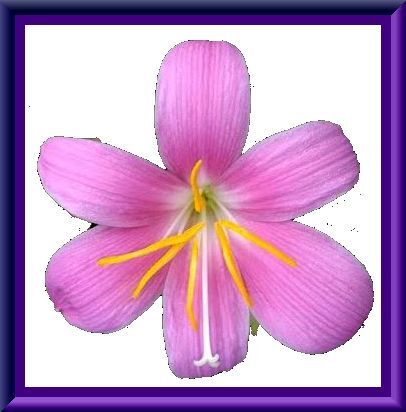 背景透過 Yuumikitadaのblog