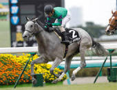 ホエールキャプチャ