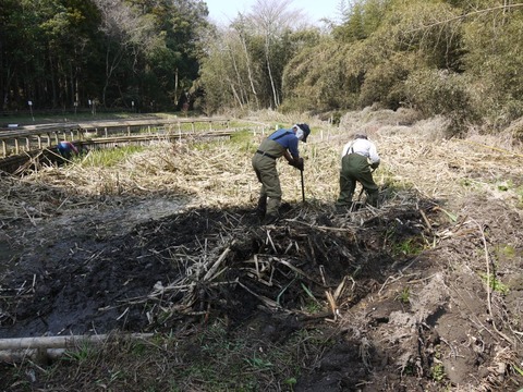 image_03