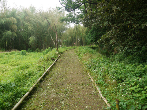 image_16