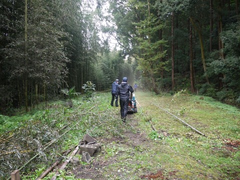 image_00