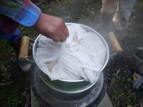 image_01