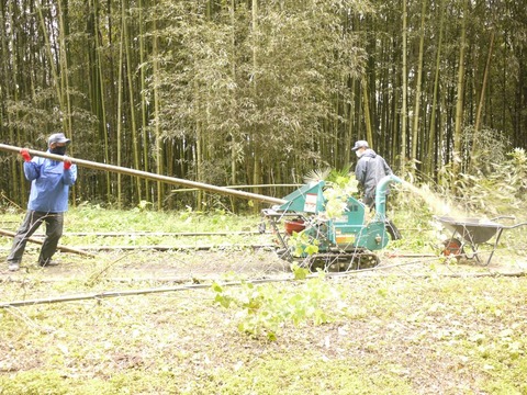 image_03