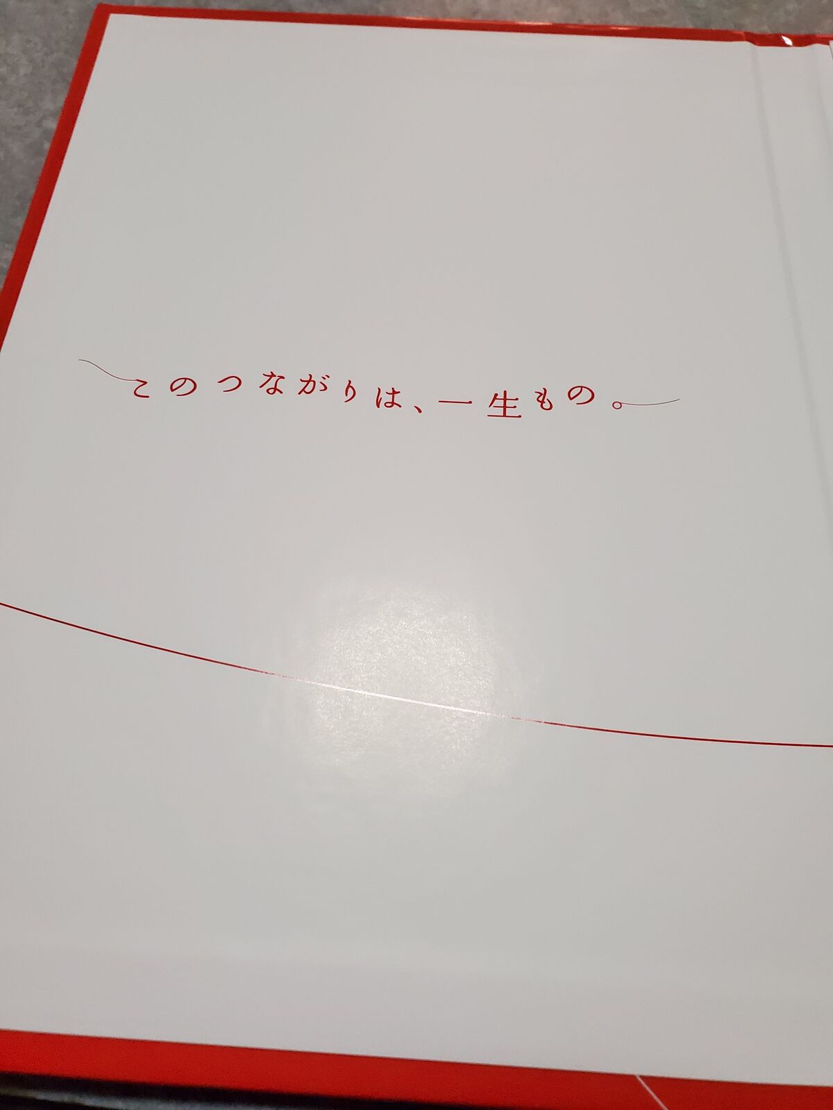 嵐年賀状 届いたー サクラの咲く頃 日常の幸せ 嵐年賀状 届いたー サクラの咲く頃 日常の幸せ