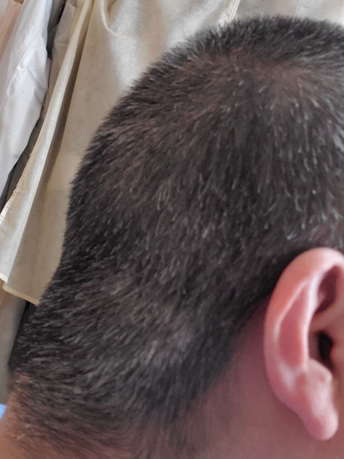 ９ミリバリカン丸坊主 サクラの咲く頃 日常の幸せ