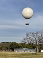S__47251507_0