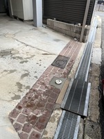 S__47251495_0