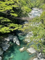 S__53985360_0