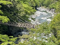 S__53985361_0