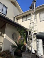 S__46891076_0