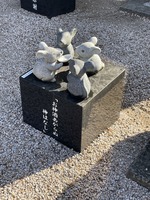 S__47251511_0