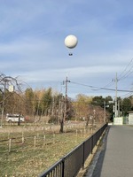 S__47251509_0