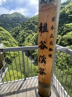 S__53985362_0