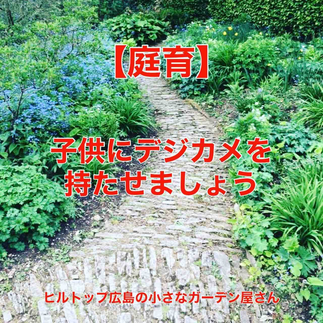 庭育こどものための庭づくり お庭で子供にデジカメを持たせましょう ヒルトップ広島の小さなガーデン屋さん ヒルトップ広島の小さなガーデン屋さんブログ