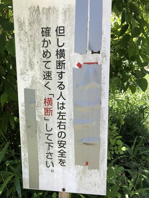 4A76F3FE-2FCA-4B01-BC4C-F450749BE6EF