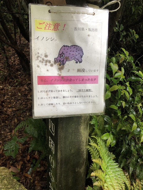 A0F1023E-206C-4004-BBED-309766C35B4A