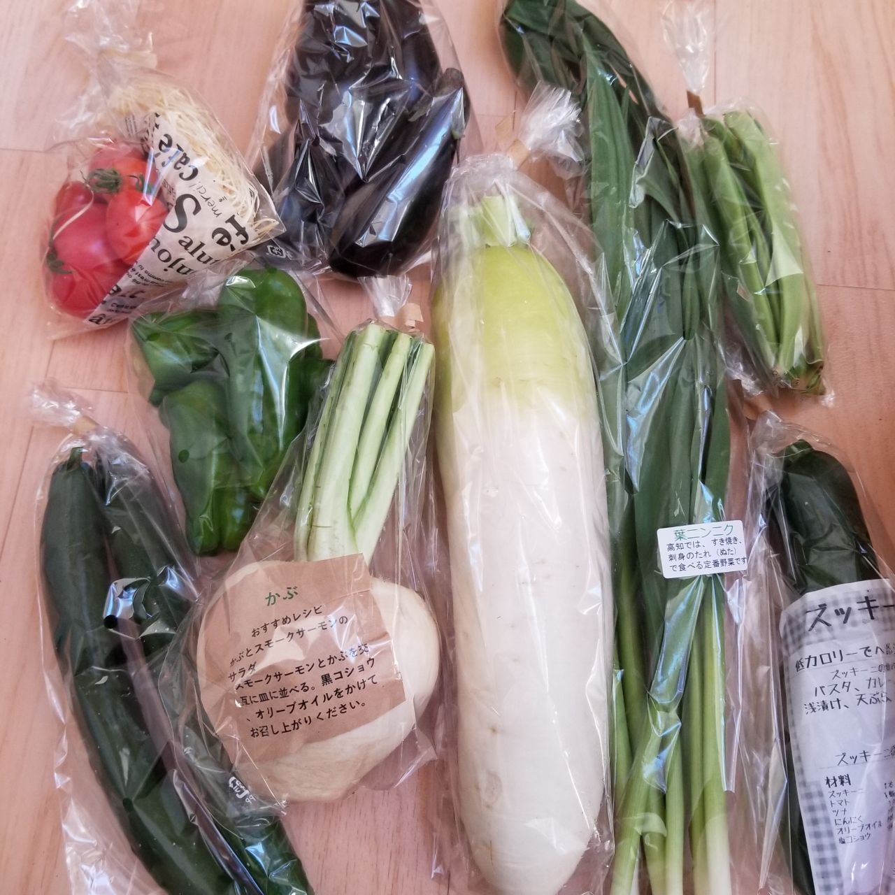 ふるさと納税の返礼品 高知の野菜の定期便がきた ゆうゆのあれこれ日記 ふるさと納税の返礼品 高知の野菜の定期便がきた ゆうゆのあれこれ日記