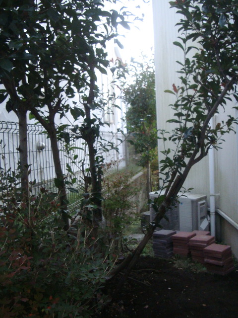 DSC06947