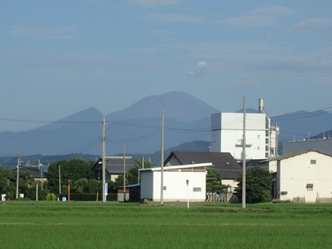 コントラスト