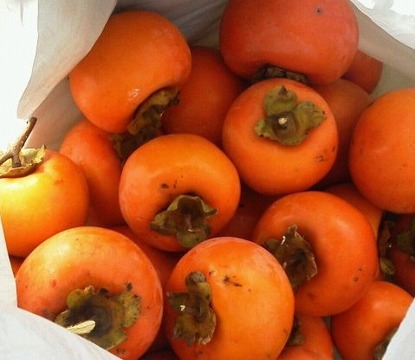 会社の敷地でとれた秋