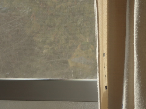 だれ?