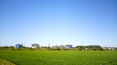 IMG_20190616_105510