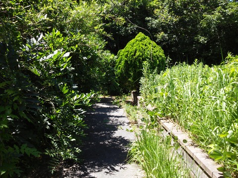 20180629_102925