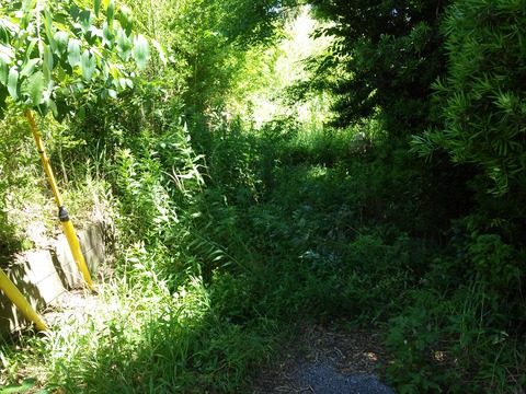 20180629_095130