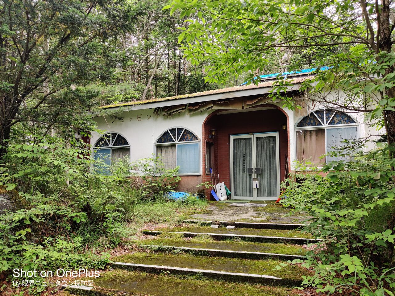 サンハイツ白樺の里（旧磯村建設別荘地）② 保全処分のまま放置された 