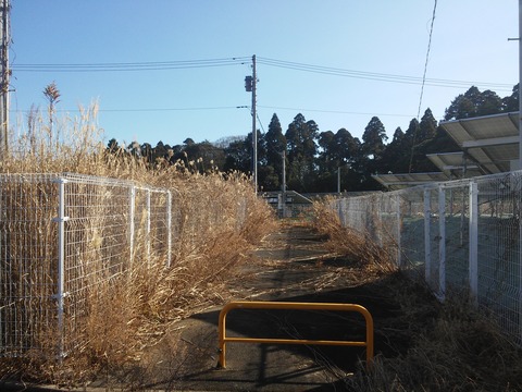 東金レイクサイドヒル八坂台 (8)
