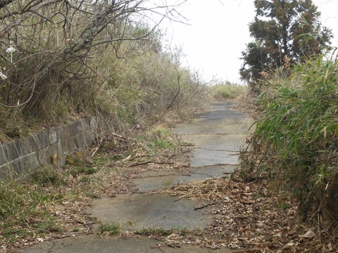 清和団地 (23)