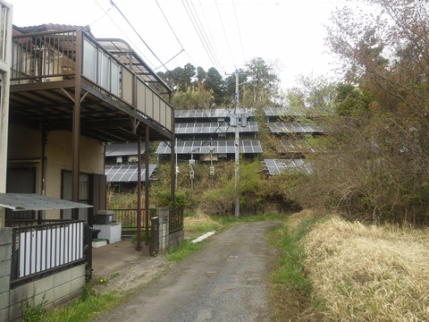 板中新田 (7)