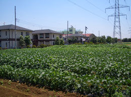 21n6r300_01