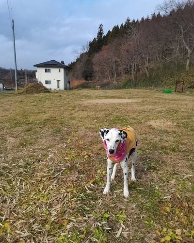 IMG_20231207_171122_798