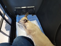 341539319_788309259172681_945173021685546586_n