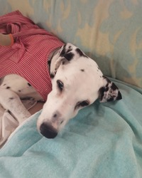 IMG_20240607_204119_725