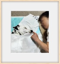 IMG_20240723_132624_edit_31343940072300