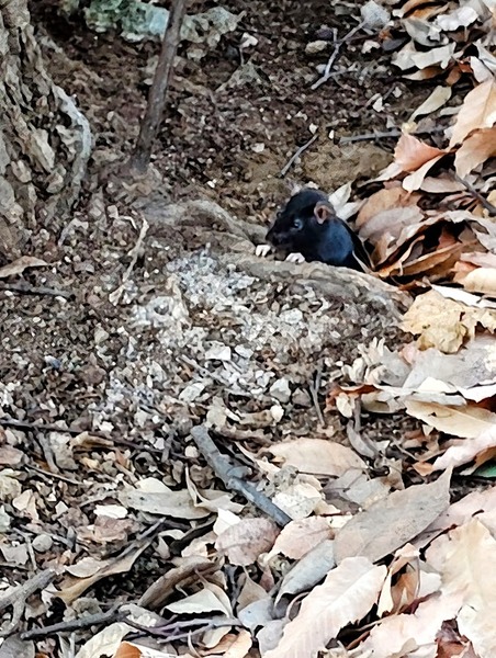 IMG_20260111_071603~2