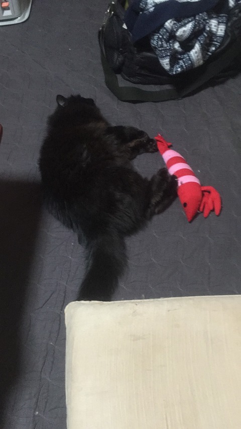 6D2586FC-6F3D-46A2-AF34-58D4C6B24F72