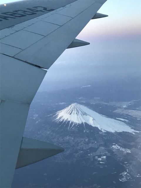 D95CC944-6B9A-4EDE-970A-EA22D3B41861