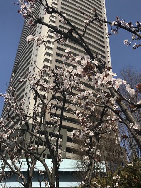 C1FDEE01-934F-4884-952F-56F183C480C7